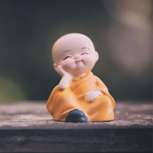 mentoring „9 schritte zu innerem frieden“